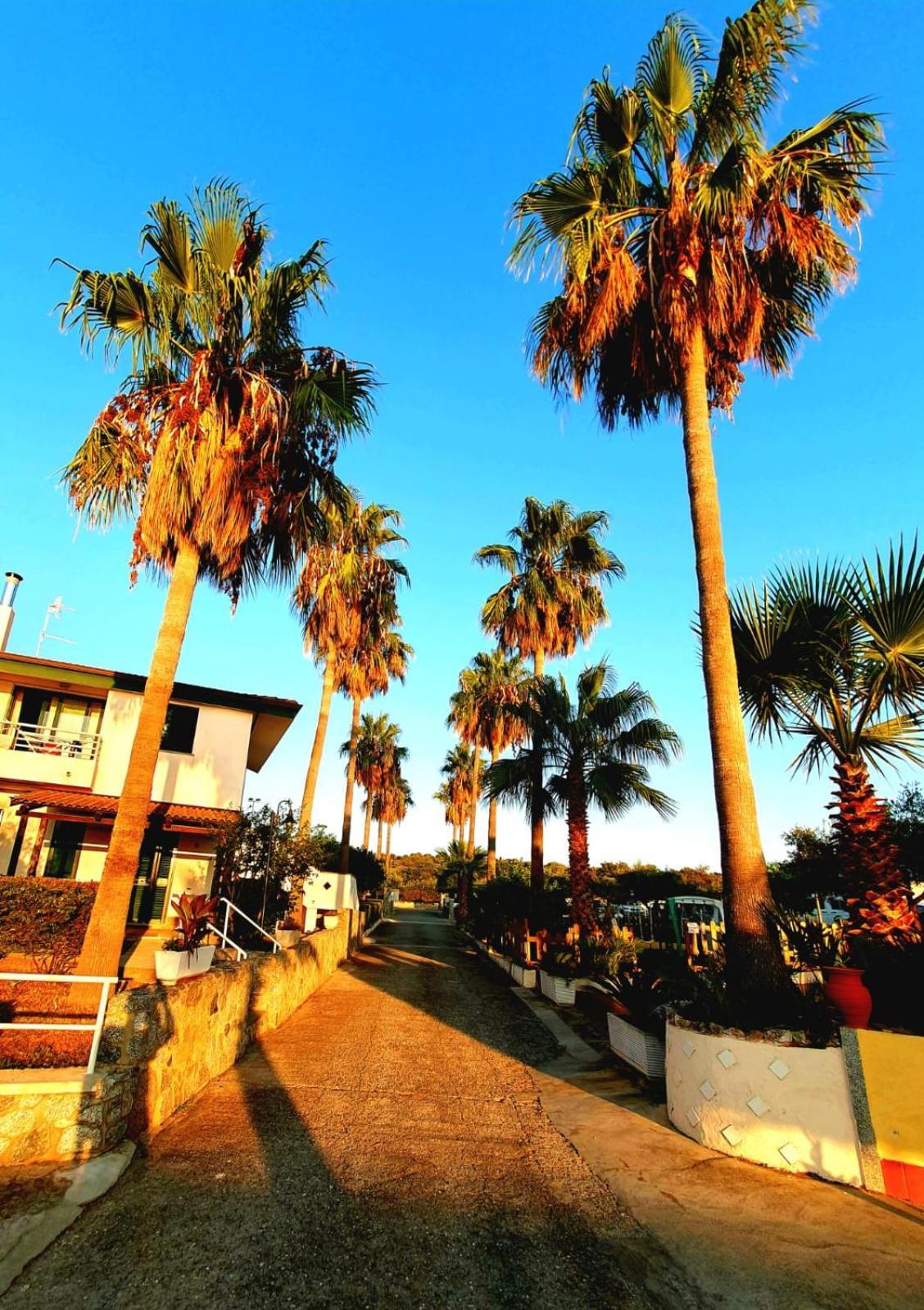 Santa Monica Residence Hotel Ricadi Bagian luar foto